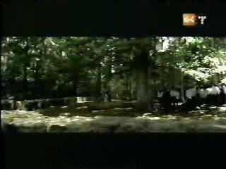 potterish_g4_tv___808.jpg potterish_g4_tv___808.jpg