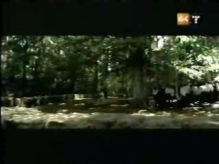 potterish_g4_tv___811.jpg