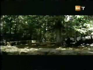 potterish_g4_tv___814.jpg