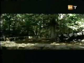 potterish_g4_tv___817.jpg