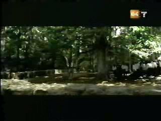 potterish_g4_tv___818.jpg