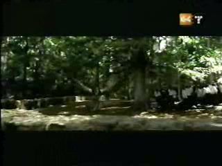 potterish_g4_tv___82_~0.jpg potterish_g4_tv___82_~0.jpg