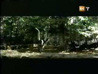 potterish_g4_tv___840.jpg potterish_g4_tv___840.jpg