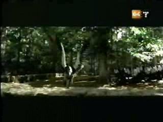 potterish_g4_tv___842.jpg potterish_g4_tv___842.jpg