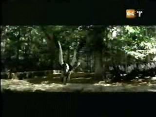 potterish_g4_tv___844.jpg potterish_g4_tv___844.jpg
