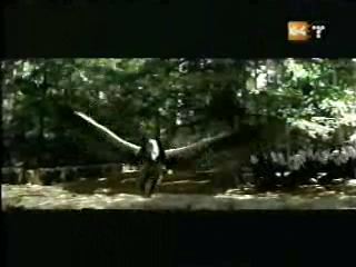 potterish_g4_tv___848.jpg potterish_g4_tv___848.jpg
