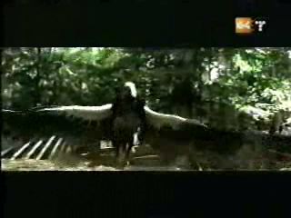 potterish_g4_tv___856.jpg potterish_g4_tv___856.jpg
