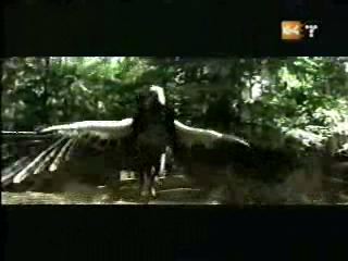 potterish_g4_tv___857.jpg