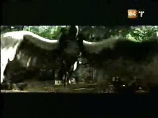potterish_g4_tv___861.jpg potterish_g4_tv___861.jpg