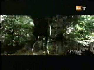 potterish_g4_tv___867.jpg