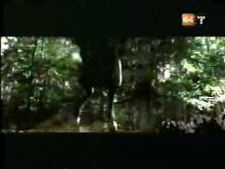 potterish_g4_tv___868.jpg potterish_g4_tv___868.jpg