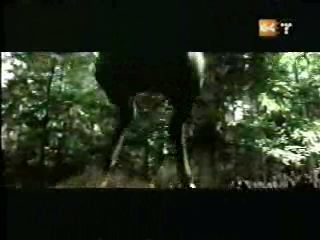 potterish_g4_tv___872.jpg potterish_g4_tv___872.jpg