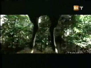 potterish_g4_tv___874.jpg potterish_g4_tv___874.jpg
