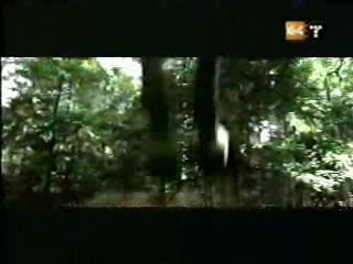 potterish_g4_tv___876.jpg