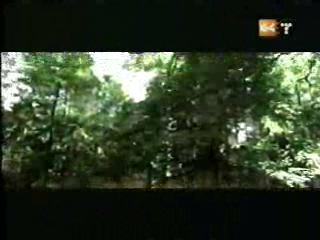 potterish_g4_tv___881.jpg potterish_g4_tv___881.jpg