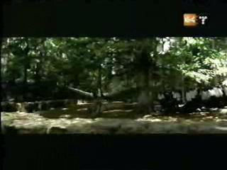 potterish_g4_tv___8_1.jpg potterish_g4_tv___8_1.jpg