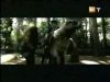 potterish_g4_tv___640.jpg