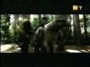 potterish_g4_tv___644.jpg