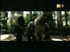 potterish_g4_tv___645.jpg