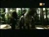 potterish_g4_tv___646.jpg