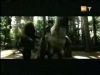 potterish_g4_tv___647.jpg