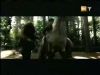 potterish_g4_tv___650.jpg