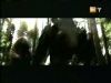 potterish_g4_tv___670.jpg