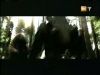 potterish_g4_tv___671.jpg