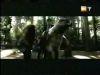 potterish_g4_tv___6_7.jpg