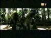 potterish_g4_tv___6__~0.jpg