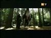 potterish_g4_tv___704.jpg