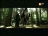 potterish_g4_tv___70_.jpg