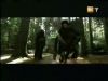potterish_g4_tv___715.jpg