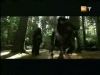 potterish_g4_tv___716.jpg