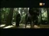 potterish_g4_tv___717.jpg