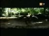 potterish_g4_tv___762.jpg