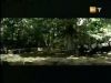 potterish_g4_tv___817.jpg