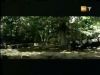 potterish_g4_tv___818.jpg