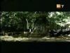 potterish_g4_tv___841.jpg