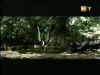 potterish_g4_tv___842.jpg
