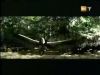 potterish_g4_tv___84_~0.jpg