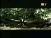 potterish_g4_tv___850.jpg