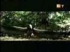potterish_g4_tv___851.jpg