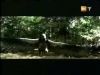potterish_g4_tv___852.jpg
