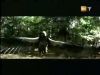 potterish_g4_tv___855.jpg