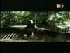 potterish_g4_tv___856.jpg