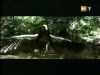 potterish_g4_tv___857.jpg