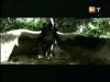 potterish_g4_tv___860.jpg