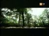 potterish_g4_tv___885.jpg