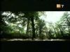potterish_g4_tv___886.jpg